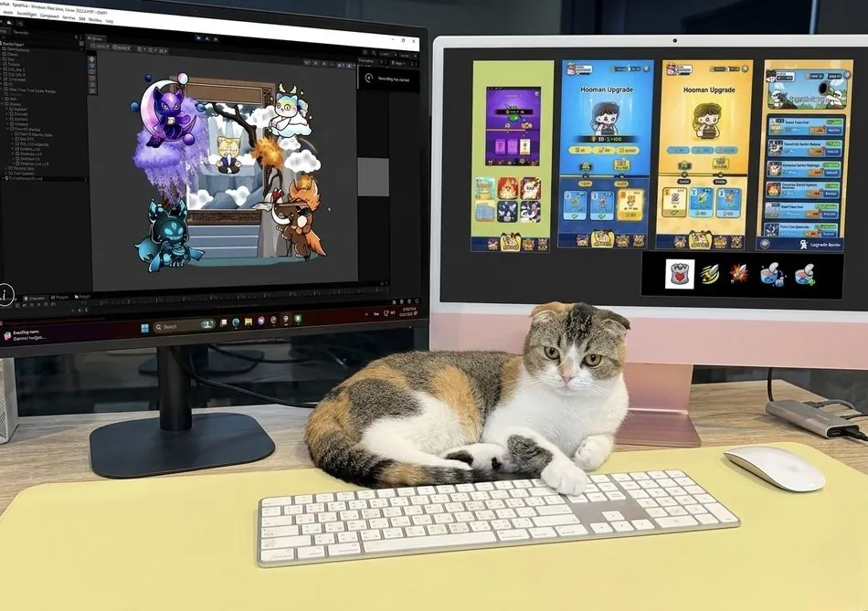 Cat vs Cucumber running on the studio screens