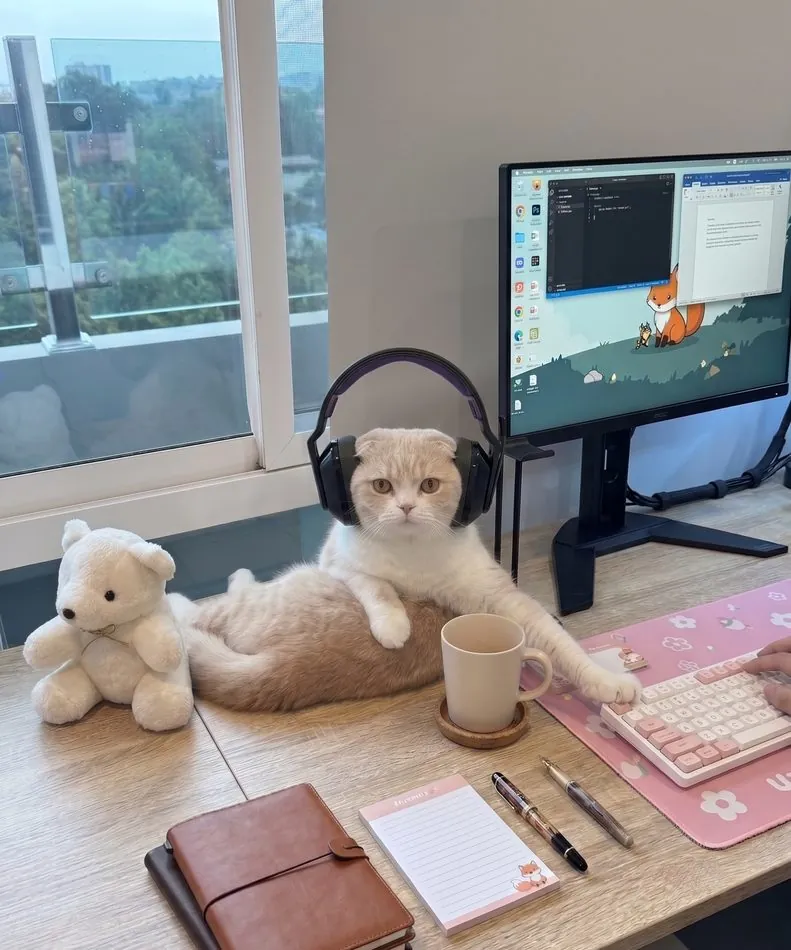 Studio cat wearing headphones at a desk